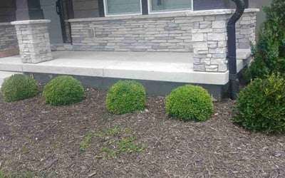 Photo of Jay W.'s yard after getting landscaping in Yuma, AZ