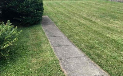 Photo of Ken D.'s yard after getting landscaping in Florence, KY