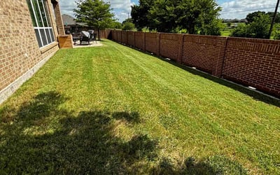 Photo of Tammy B.'s yard after getting lawn care in Midlothian, TX