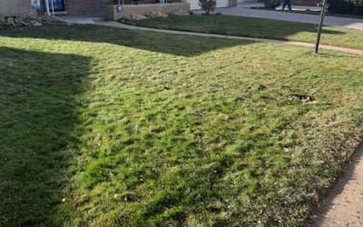 Photo of Kristen L.'s yard after getting landscaping in Black Hawk, CO