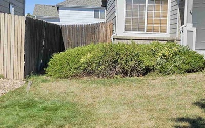 Photo of William B.'s yard after getting landscaping in Fairplay, CO