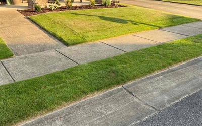 Photo of Cordale D.'s yard after getting lawn care in Hoover, AL