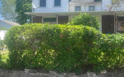 Photo of Andrea S.'s yard after getting landscaping in Hazleton, PA
