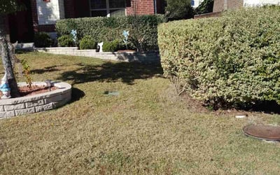 Photo of Bill B.'s yard after getting landscaping in Mc Dade, TX