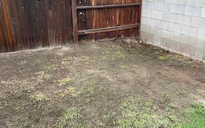 Photo of Valerie C.'s yard after getting landscaping in Taft, CA