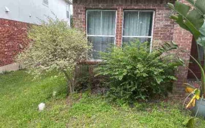 Photo of Brian E.'s yard after getting landscaping in Staples, TX