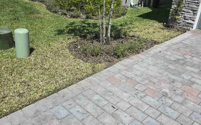 Photo of David S.'s yard after getting landscaping in Sanford, FL
