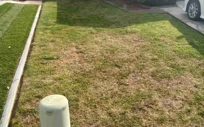 Photo of Ronald M.'s yard after getting landscaping in Watsonville, CA