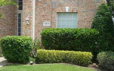 Photo of Mark K.'s yard after getting landscaping in Campbell, TX