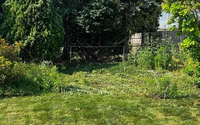 Photo of Bruce J.'s yard after getting landscaping in Livonia, MI