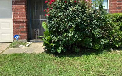 Photo of Mark O.'s yard after getting landscaping in Dallas, TX