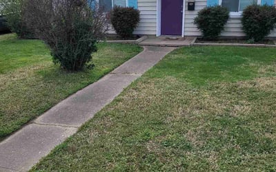 Photo of Stephanie B.'s yard after getting landscaping in Ford, VA