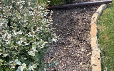 Photo of Angela W.'s yard after getting landscaping in Grandview, TX