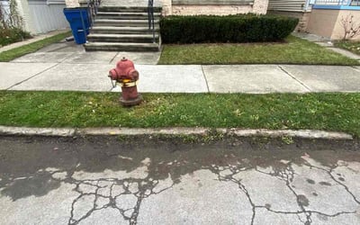 Photo of Kevin W.'s yard after getting landscaping in Grosse Ile, MI