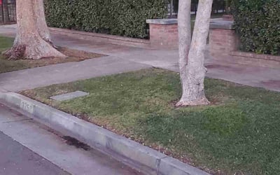 Photo of Kathleen S.'s yard after getting landscaping in Jurupa Valley, CA