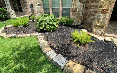 Photo of Chris G.'s yard after getting landscaping in Rosharon, TX
