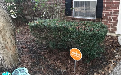Photo of Jenny G.'s yard after getting landscaping in Port Bolivar, TX