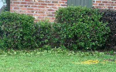 Photo of Barbara O.'s yard after getting landscaping in Port Allen, LA