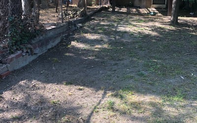 Photo of Courtney E.'s yard after getting landscaping in Clarksville, MD