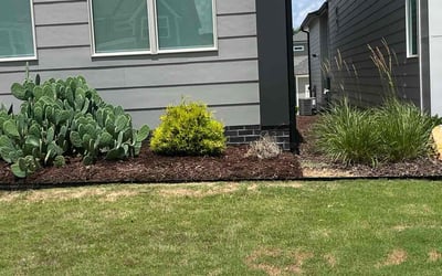 Photo of Moya R.'s yard after getting landscaping in Pittsboro, NC