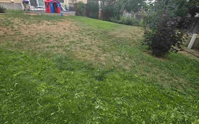 Photo of Daniel S.'s yard after getting landscaping in Parker, CO