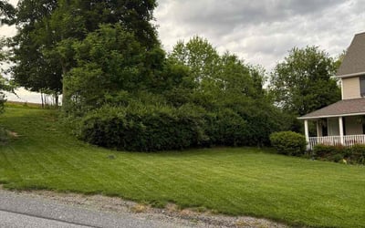 Photo of Anna L.'s yard after getting landscaping in Glen Rock, PA