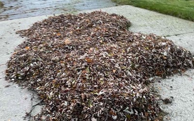 Photo of Christopher S.'s yard after getting landscaping in Walled Lake, MI