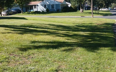 Photo of Lauren B.'s yard after getting landscaping in Harris, MN
