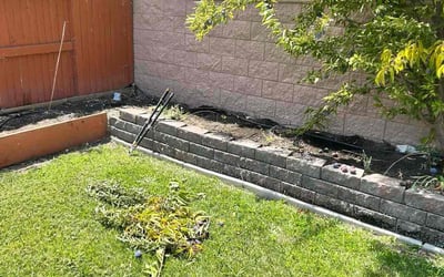 Photo of Dawn/Kirk E.'s yard after getting tree care in Roseville, CA