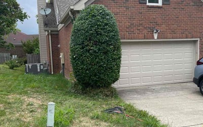 Photo of Matt P.'s yard after getting landscaping in Dickson, TN