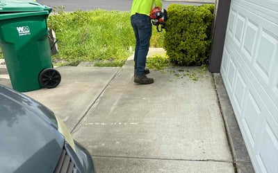 Photo of Laurie i.'s yard after getting tree care in Santa Rosa, CA
