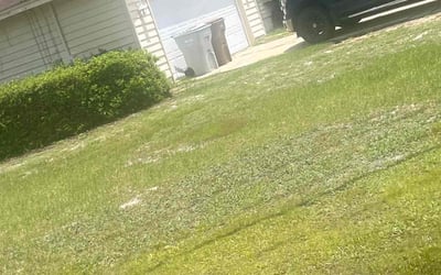 Photo of David S.'s yard after getting landscaping in Navarre, FL
