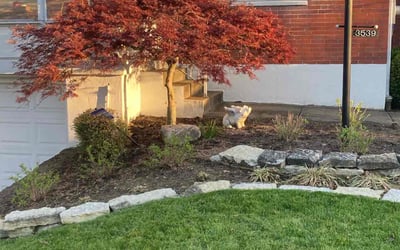 Photo of Ashley M.'s yard after getting landscaping in Felicity, OH