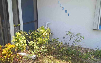 Photo of Troy L.'s yard after getting landscaping in Punta Gorda, FL
