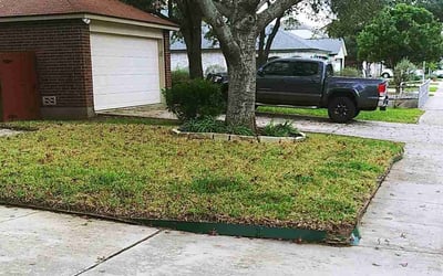 Photo of John B.'s yard after getting landscaping in Randolph A F B, TX