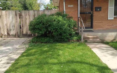 Photo of Christina H.'s yard after getting landscaping in Aspen, CO