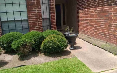 Photo of John V.'s yard after getting landscaping in Katy, TX