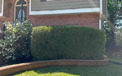 Photo of Olivia B.'s yard after getting landscaping in Buchanan, GA