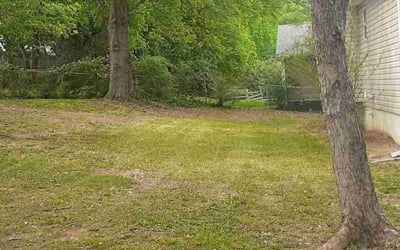 Photo of Linda H.'s yard after getting landscaping in Clinton, TN