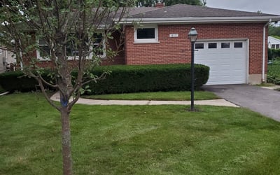 Photo of Michael M.'s yard after getting landscaping in Dundee, IL