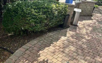 Photo of Andrea C.'s yard after getting tree care in Rockford, IL