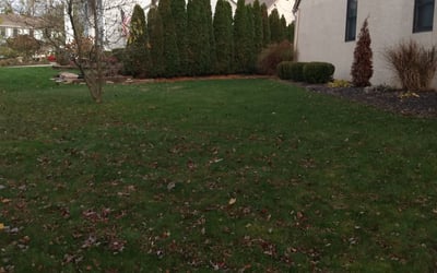 Photo of Jennifer D.'s yard after getting landscaping in London, OH