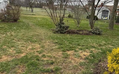 Photo of Samantha P.'s yard after getting landscaping in West Bloomfield, MI