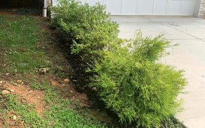Photo of John B.'s yard after getting landscaping in Dowell, MD