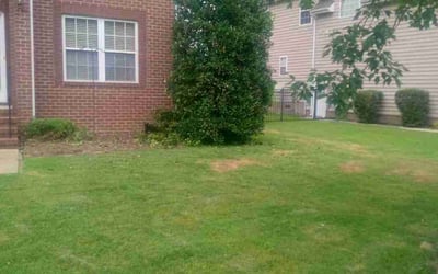 Photo of Ijeoma I.'s yard after getting landscaping in Smithfield, VA