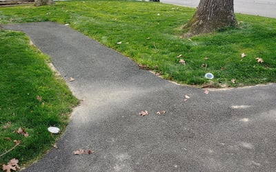 Photo of Daryl B.'s yard after getting landscaping in Providence Forge, VA