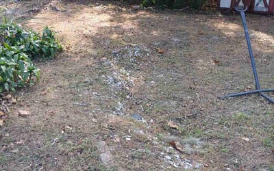 Photo of Lindsey T.'s yard after getting landscaping in Intercession City, FL