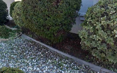 Photo of Ryan A.'s yard after getting landscaping in Kings Beach, CA