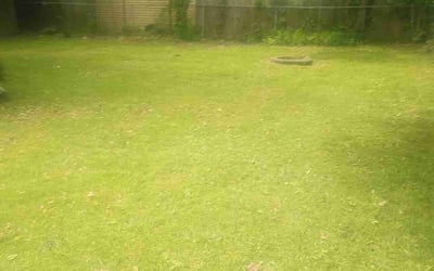 Photo of Nicole W.'s yard after getting landscaping in Euclid, OH