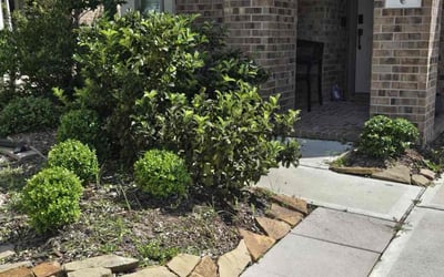 Photo of Alicia S.'s yard after getting landscaping in Conroe, TX
